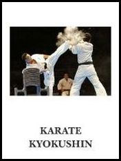 karate_kyokushinkai